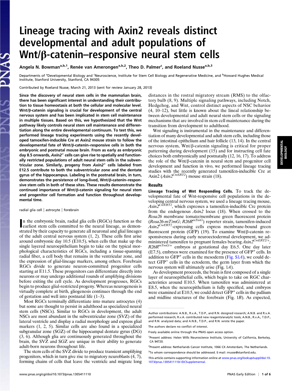 Lineage Tracing with Axin2 Reveals Distinct Developmental and Adult Populations of Wnt/Β-Catenin–Responsive Neural Stem Cells