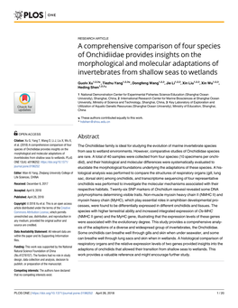 A Comprehensive Comparison of Four Species of Onchidiidae Provides