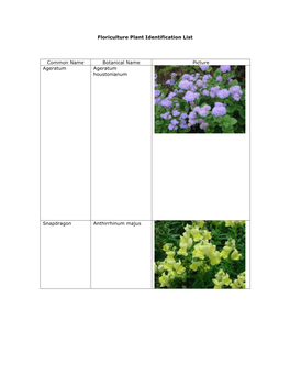 Floriculture Plant Identification List Common Name Botanical Name