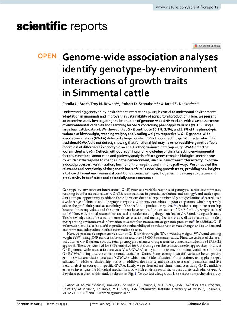 Genome-Wide Association Analyses Identify Genotype-By-Environment Interactions of Growth Traits in Simmental Cattle