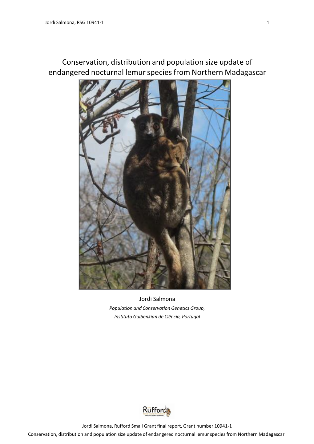 Conservation, Distribution and Population Size Update of Endangered Nocturnal Lemur Species from Northern Madagascar
