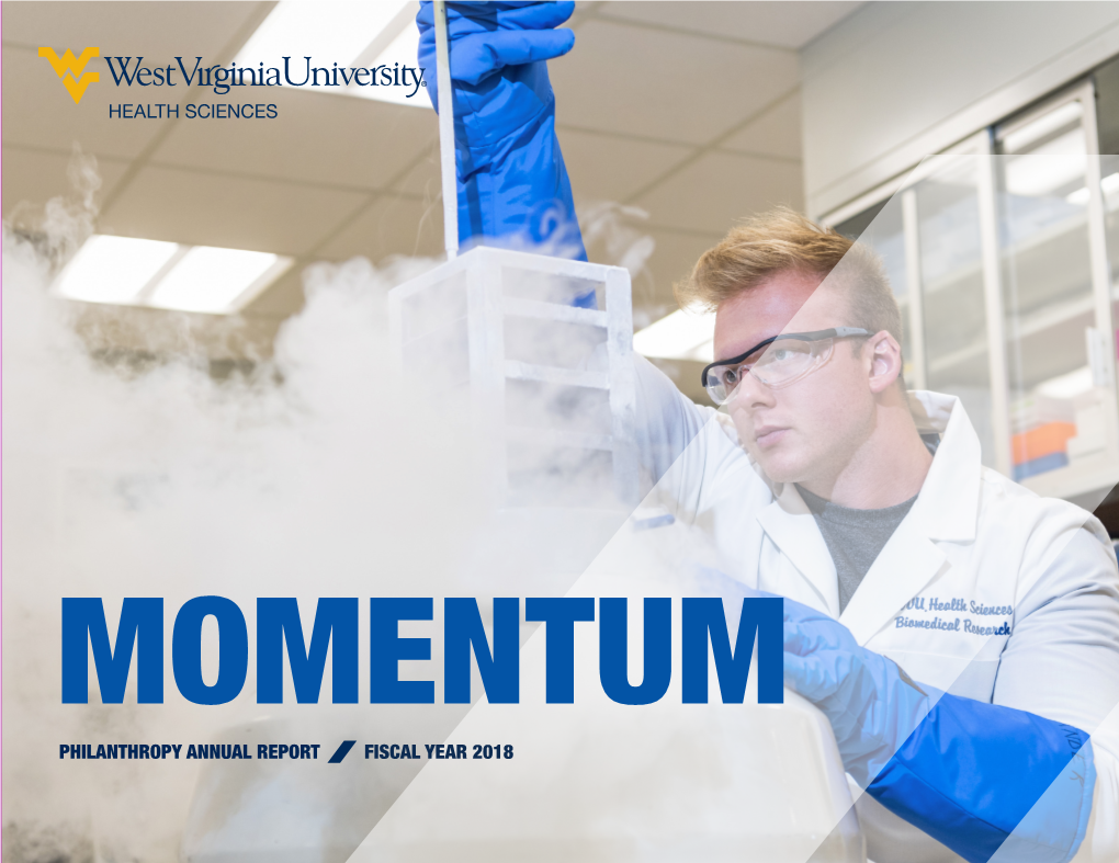 2018 Momentum Annual Report