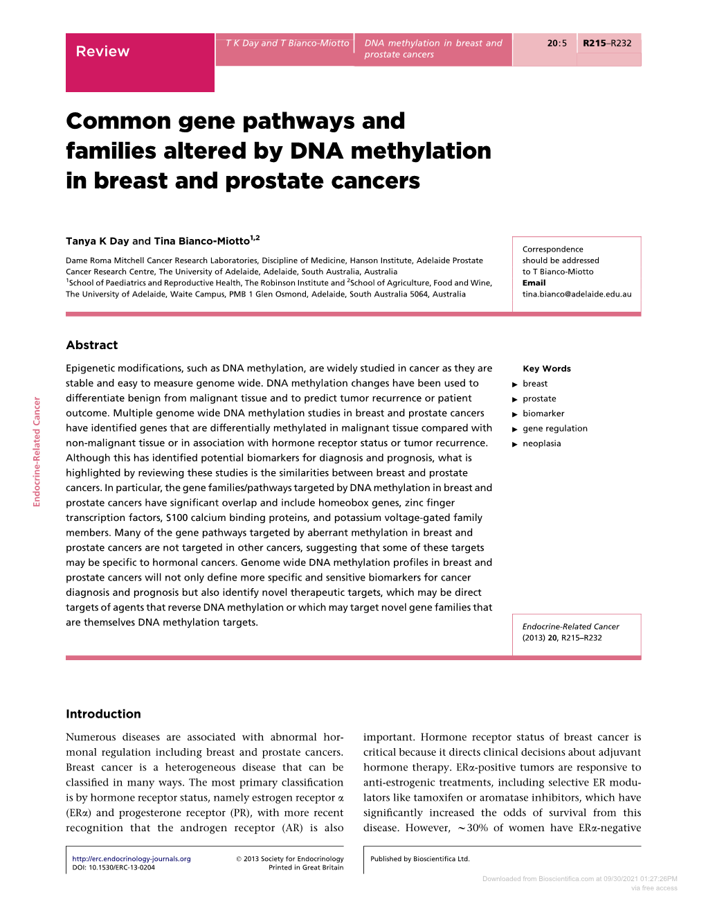 Common Gene Pathways and Families Altered by DNA Methylation in Breast and Prostate Cancers