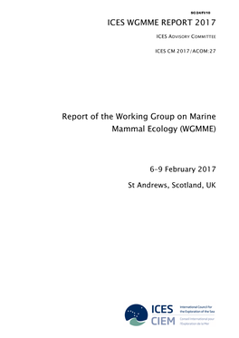 Wgmme Report 2017