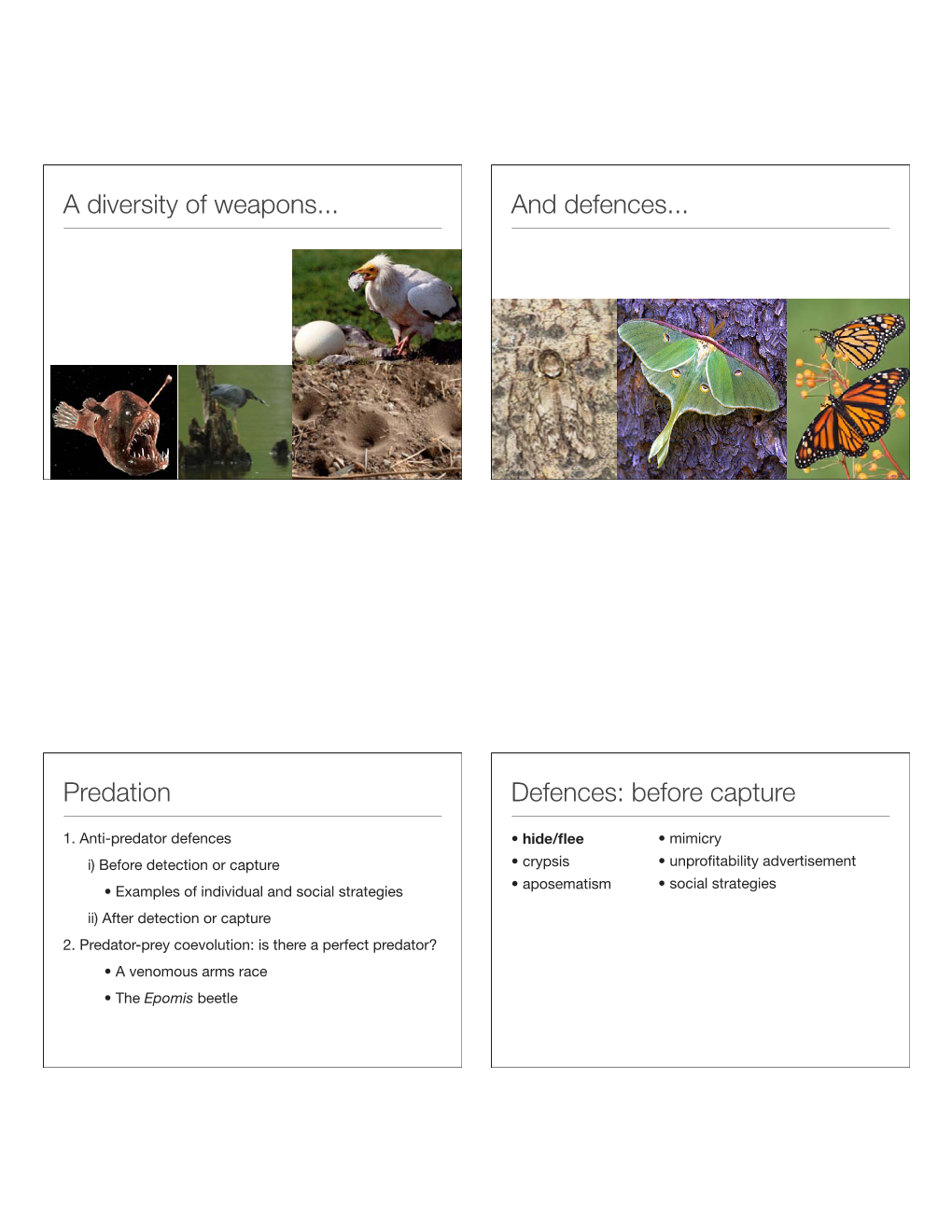 A Diversity of Weapons... and Defences... Predation Defences: Before Capture