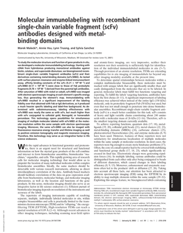 Molecular Immunolabeling with Recombinant Single-Chain Variable Fragment (Scfv) Antibodies Designed with Metal- Binding Domains