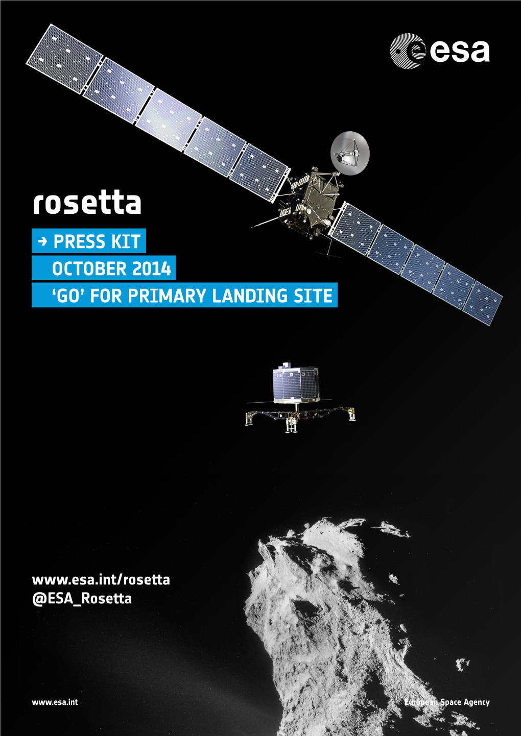 Rosetta's Comet