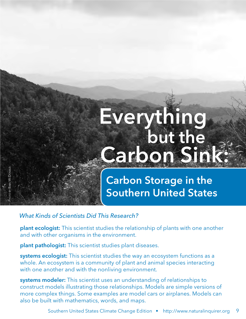 Everything Carbon Sink