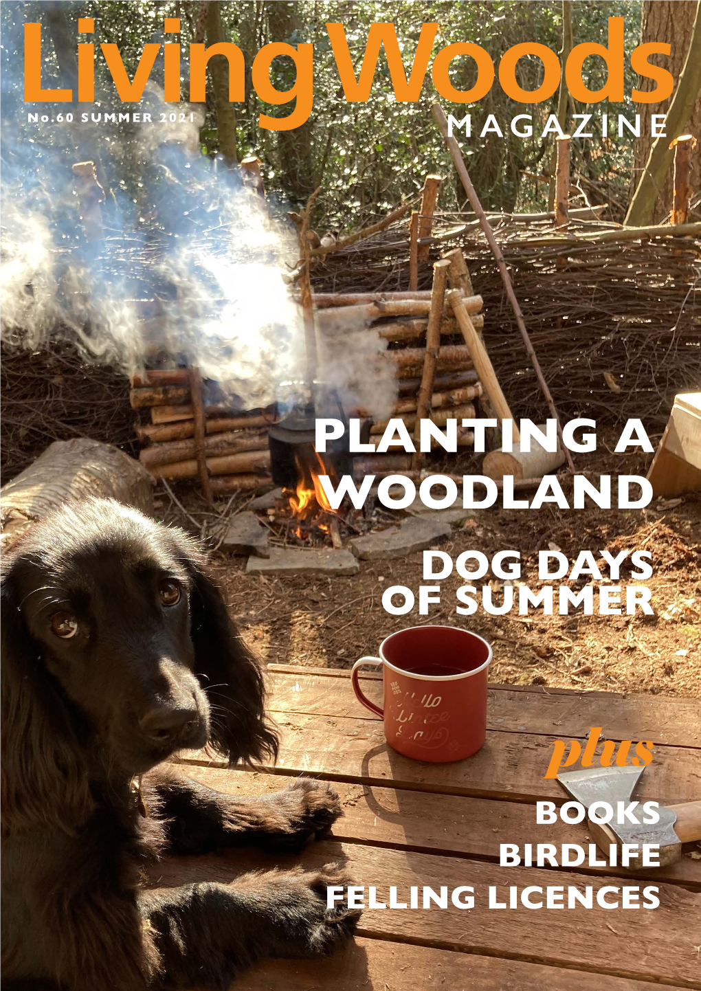 Planting a Woodland Dog Days of Summer