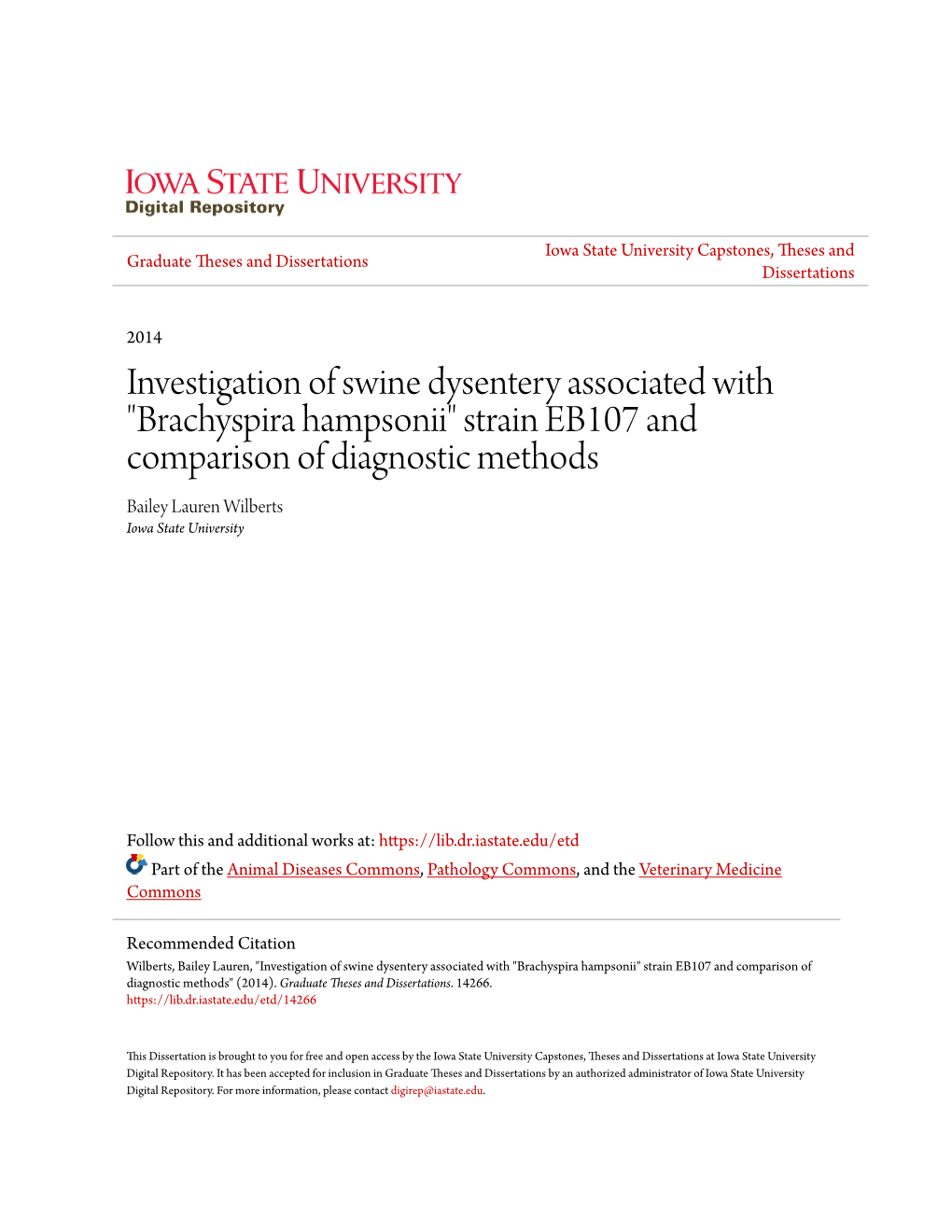 Investigation of Swine Dysentery Associated with "Brachyspira