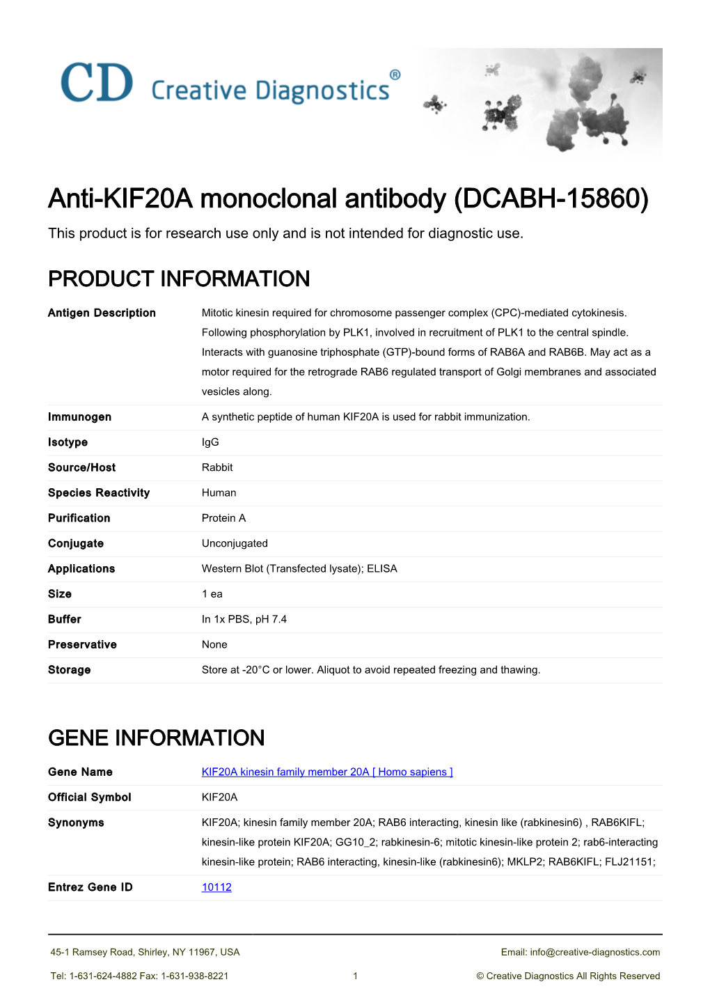 Anti-KIF20A Monoclonal Antibody (DCABH-15860) This Product Is for Research Use Only and Is Not Intended for Diagnostic Use