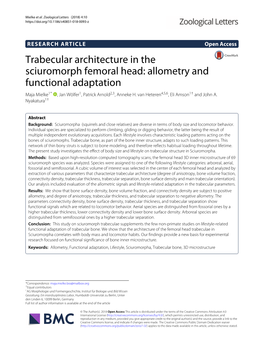 Trabecular Architecture in the Sciuromorph Femoral Head: Allometry and Functional Adaptation Maja Mielke1* , Jan Wölfer1, Patrick Arnold2,3, Anneke H