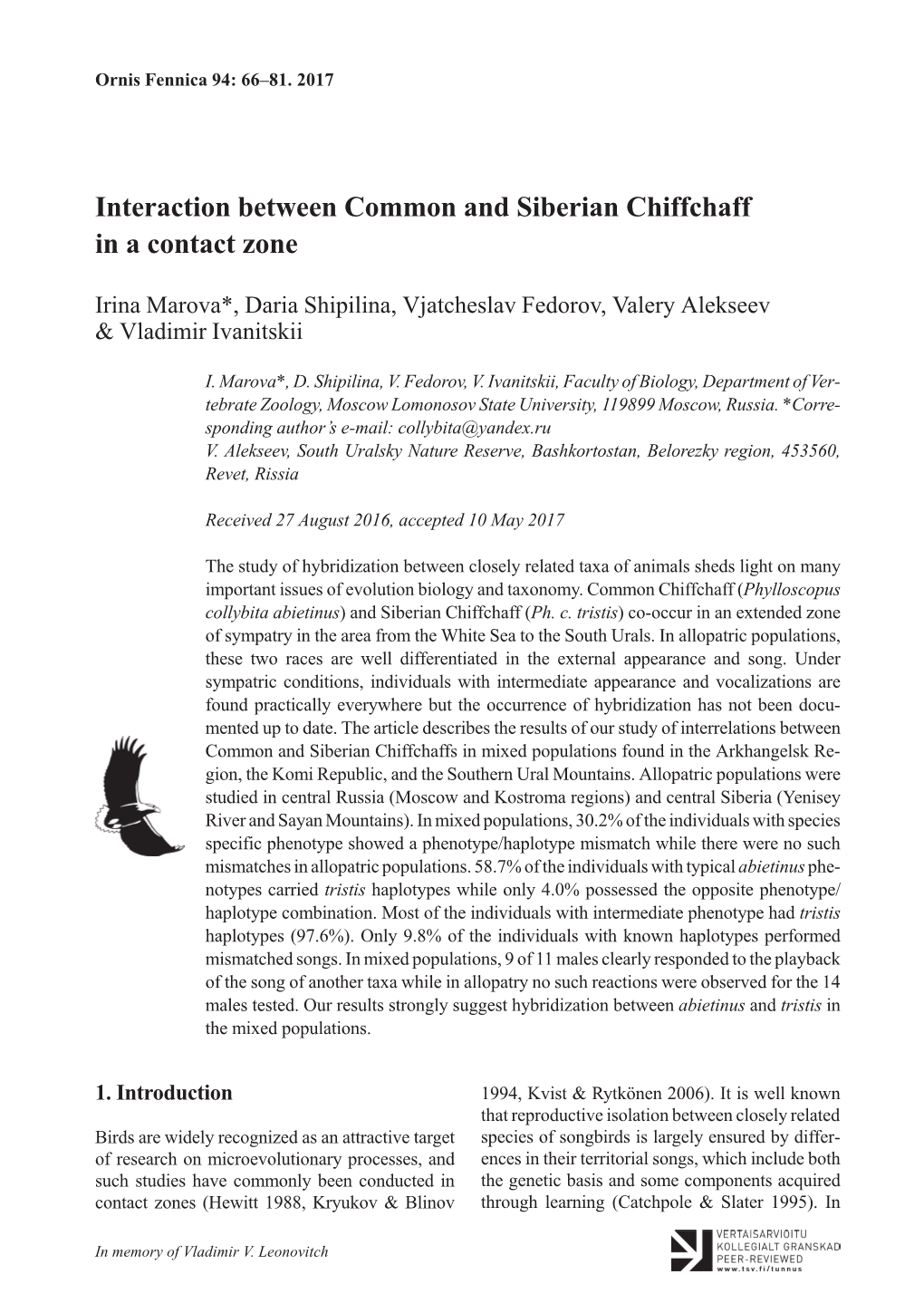 Interaction Between Common and Siberian Chiffchaff in a Contact Zone