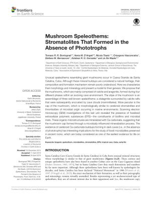 Mushroom Speleothems: Stromatolites That Formed in the Absence of Phototrophs