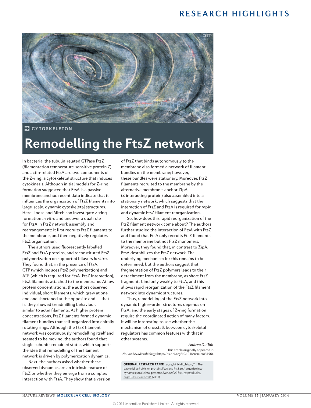 Cytoskeleton: Remodelling the Ftsz Network