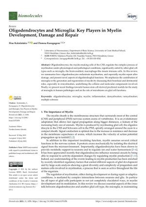 Oligodendrocytes and Microglia: Key Players in Myelin Development, Damage and Repair