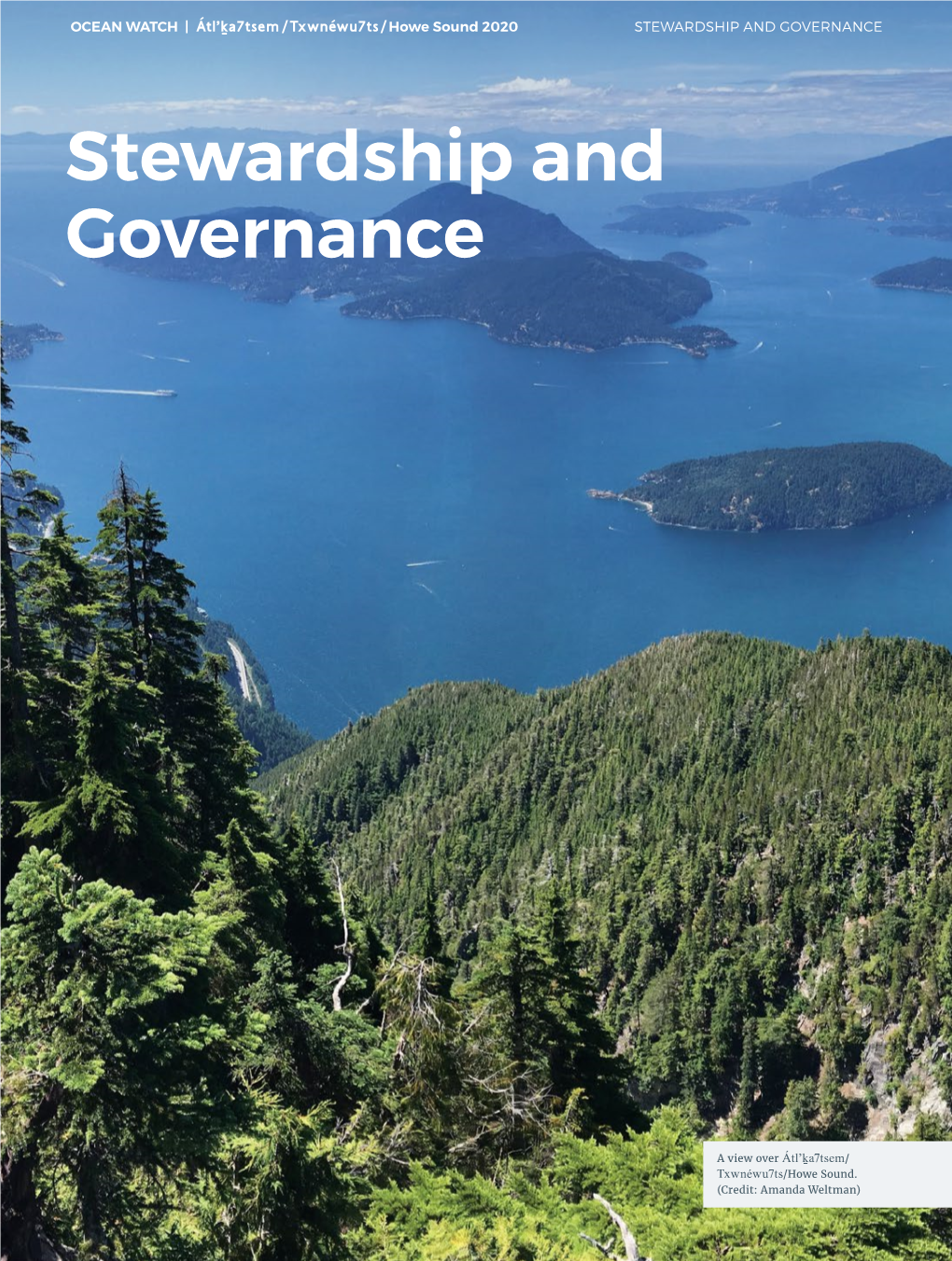 Stewardship and Governance