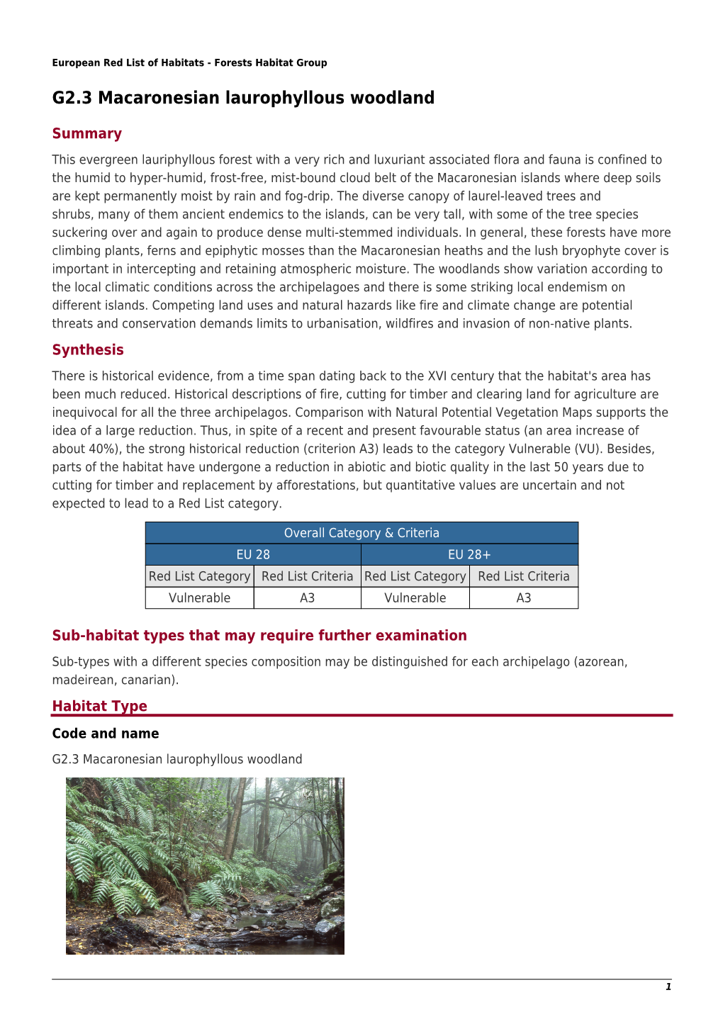 G2.3 Macaronesian Laurophyllous Woodland