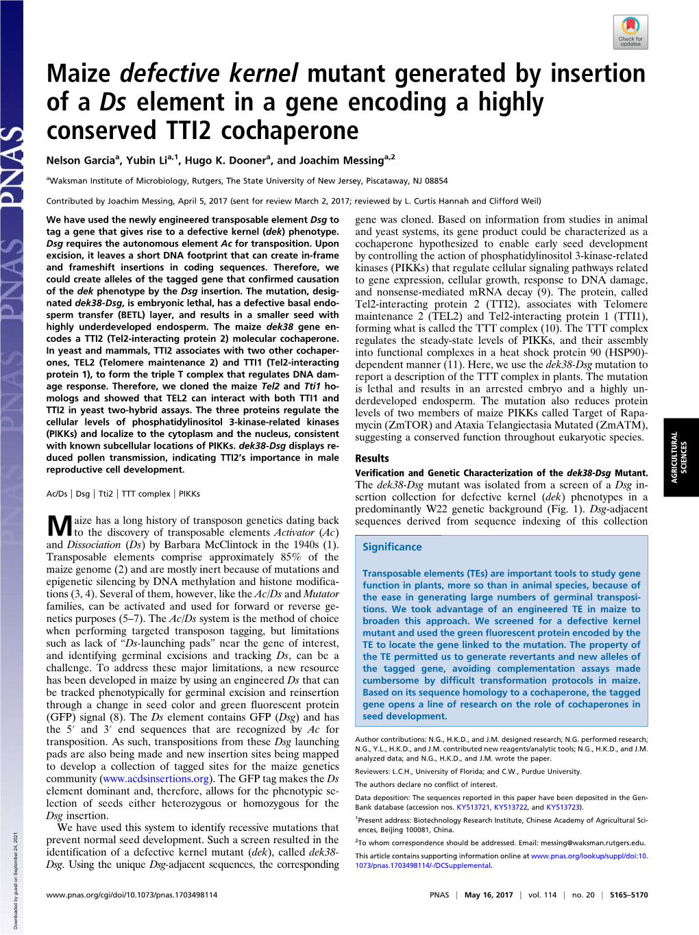 Maize Defective Kernel Mutant Generated by Insertion of a Ds Element in a Gene Encoding a Highly Conserved TTI2 Cochaperone