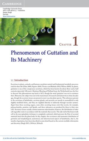 Phenomenon of Guttation and Its Machinery