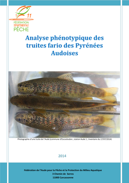 Analyse Phénotypique Des Truites Fario Des Pyrénées Audoises