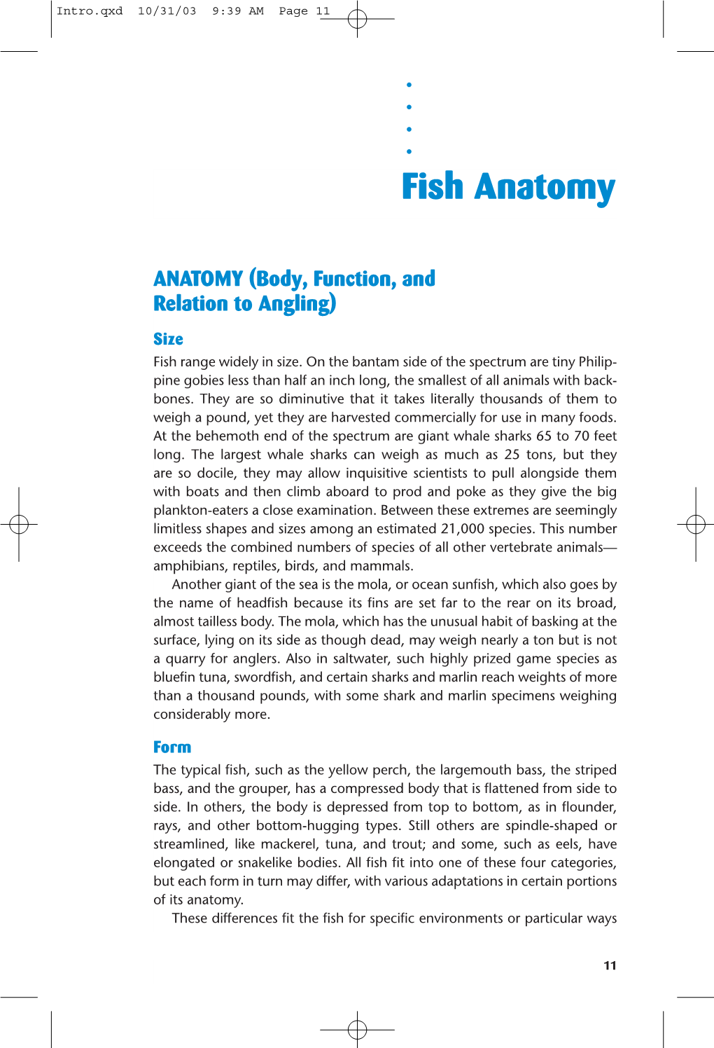 Fish Anatomy