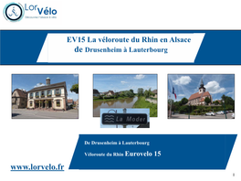 EV15 La Véloroute Du Rhin En Alsace De Drusenheim À Lauterbourg