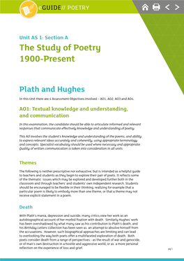 Plath and Hughes in This Unit There Are 4 Assessment Objectives Involved – AO1, AO2, AO3 and AO4