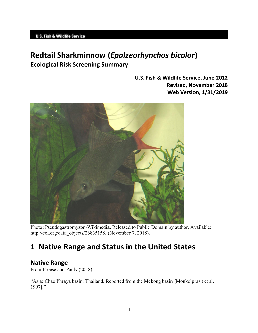 Epalzeorhynchos Bicolor) Ecological Risk Screening Summary