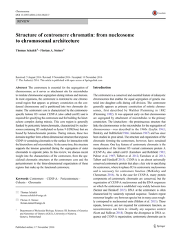 Structure of Centromere Chromatin: from Nucleosome to Chromosomal Architecture