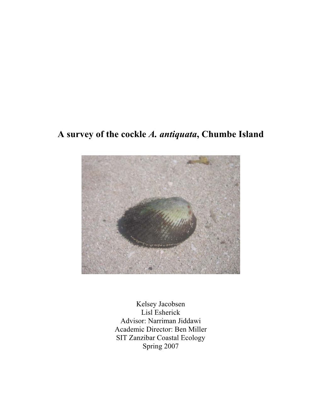 A Survey of the Cockle A. Antiquata, Chumbe Island