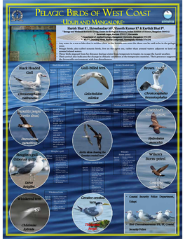 Pelagic Birds of West Coast -Udupi and Mangalore- Harish Bhat R1, Shivashankar M2, Vineeth Kumar K3 & Karthik Bhat P4