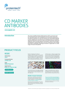 CD Markers Are Routinely Used for the Immunophenotyping of Cells