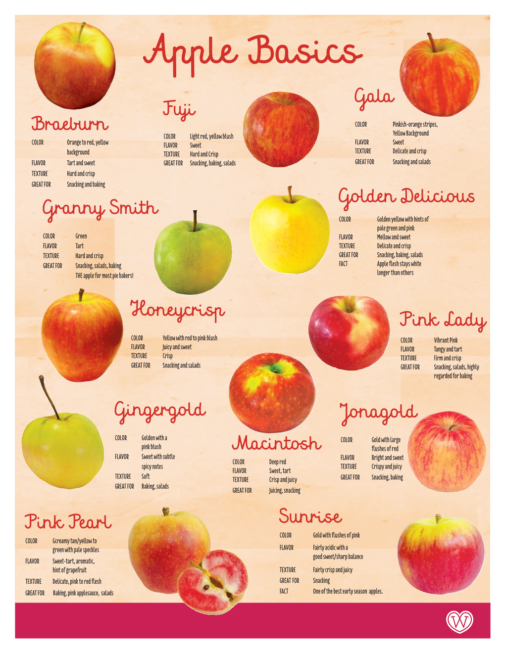 Apple Basics