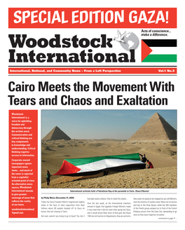 Cairo Meets the Movement with Tears and Chaos and Exaltation