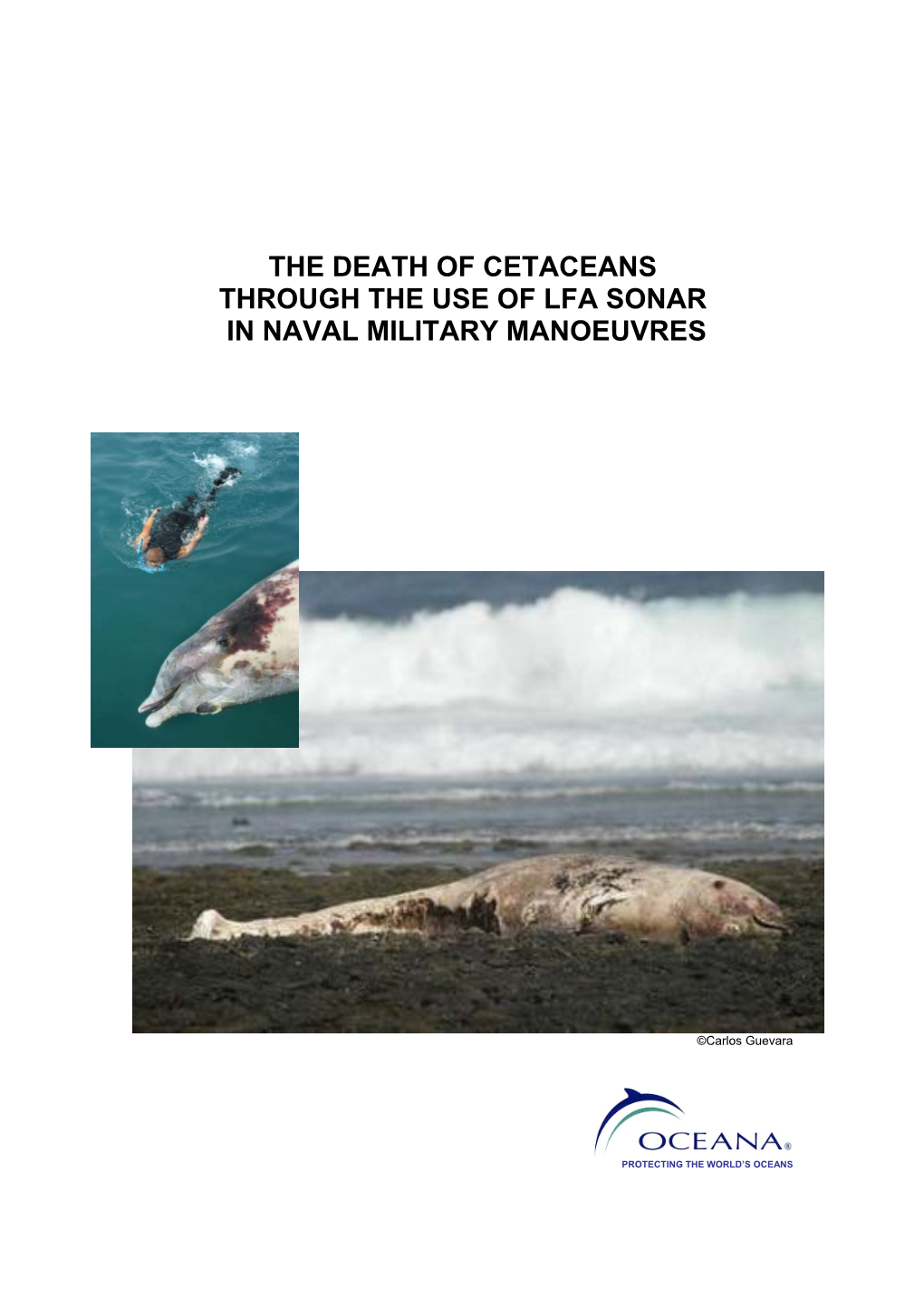 The Death of Cetaceans Through the Use of Lfa Sonar in Naval Military Manoeuvres