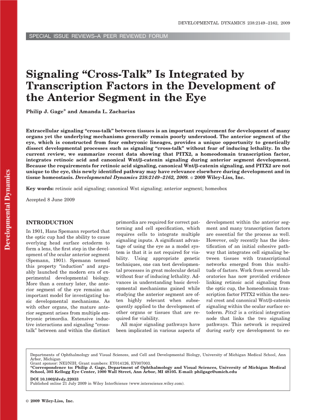 Signaling “Cross-Talk” Is Integrated by Transcription Factors in the Development of the Anterior Segment in the Eye