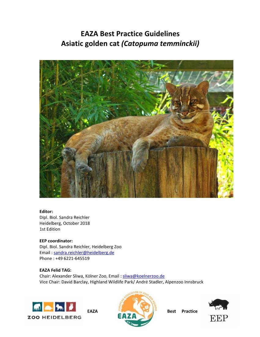 EAZA Best Practice Guidelines Asiatic Golden Cat (Catopuma Temminckii)