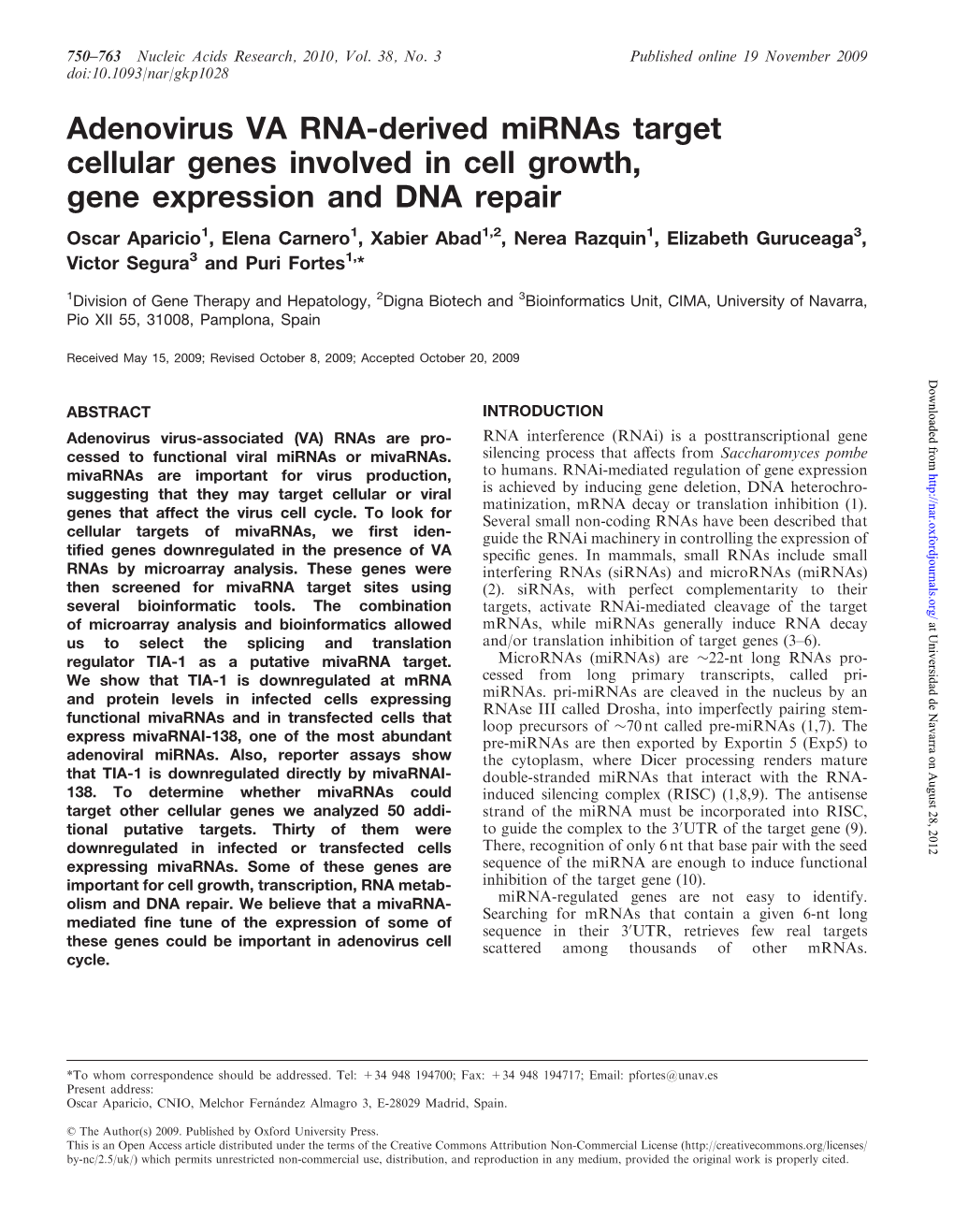 Adenovirus VA RNA-Derived Mirnas Target Cellular Genes