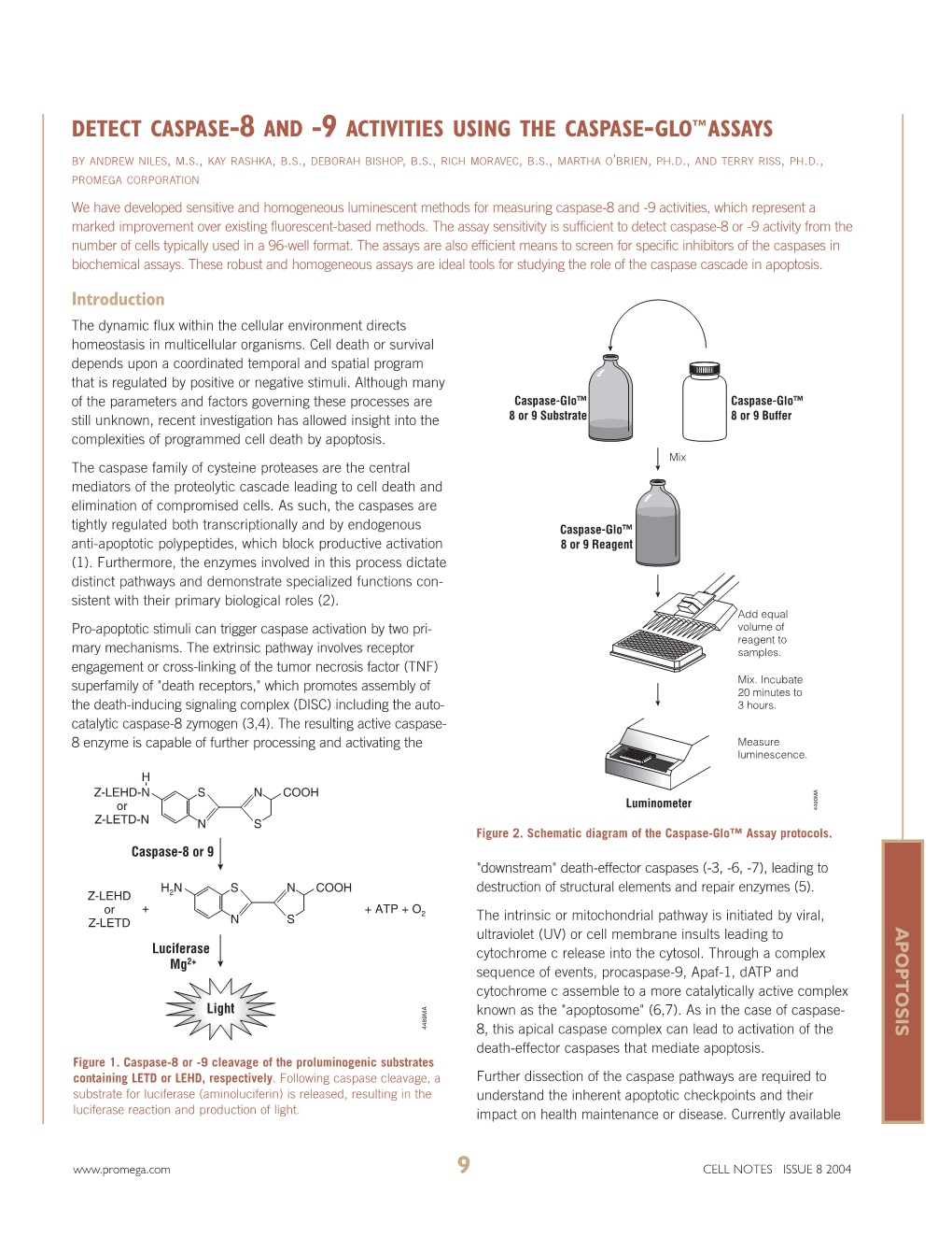 9 Activities Using the Caspase-Glo™Assays