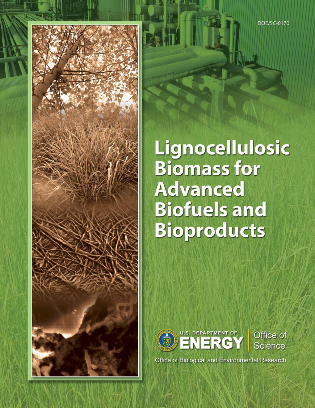 Lignocellulosic Biomass for Advanced Biofuels and Bioproducts: Workshop Report, DOE/SC-0170