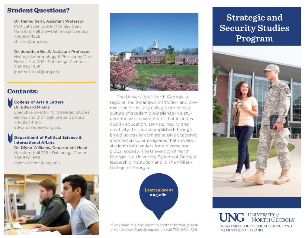 Strategic and Security Studies Program