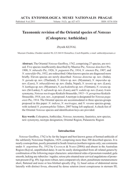 Taxonomic Revision of the Oriental Species of Notoxus (Coleoptera: Anthicidae)