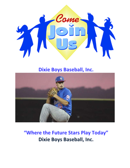 Dixie Boys Baseball, Inc