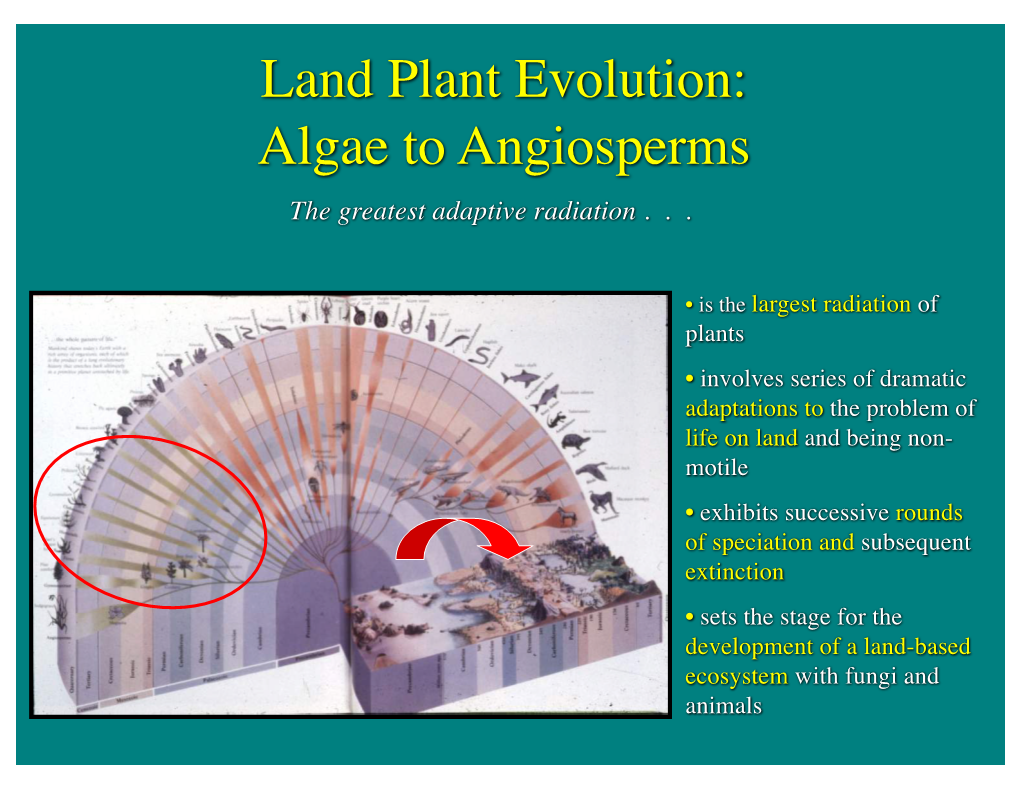 Land Plant Evolution: Algae to Angiosperms the Greatest Adaptive Radiation