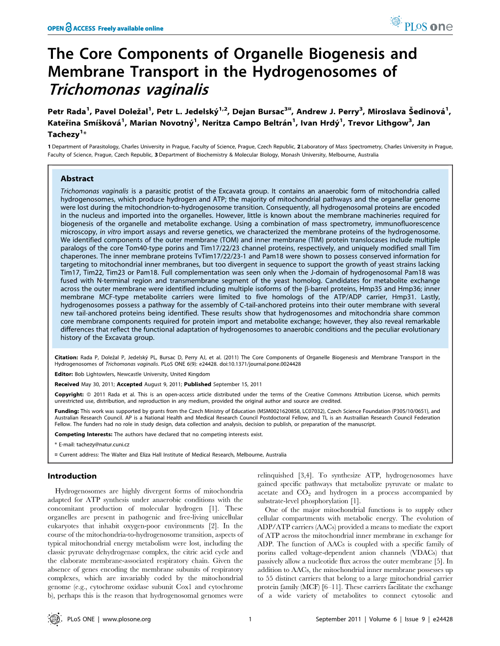 Trichomonas Vaginalis