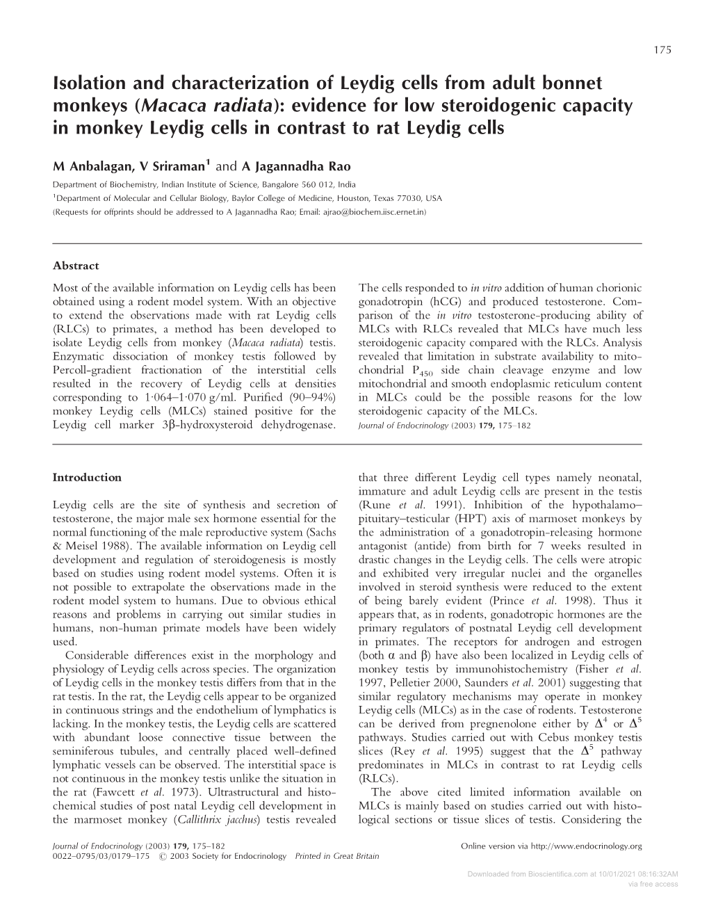 Isolation and Characterization of Leydig Cells from Adult Bonnet Monkeys