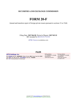 JXTG Holdings, Inc. Form 20-F Filed 2017-06-28