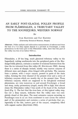 NORSK GEOLOGISK TIDSSKRIFT 45 by IVAR KLOVNING and ULF