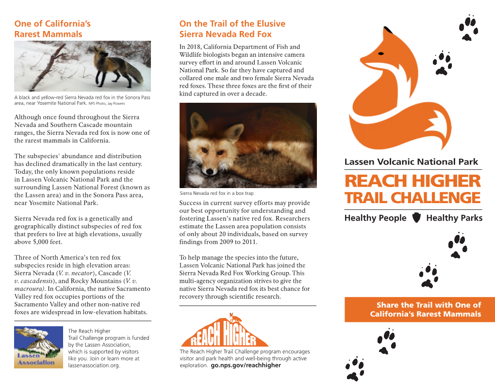 Reach Higher Trail Challenge Participant Brochure 2019